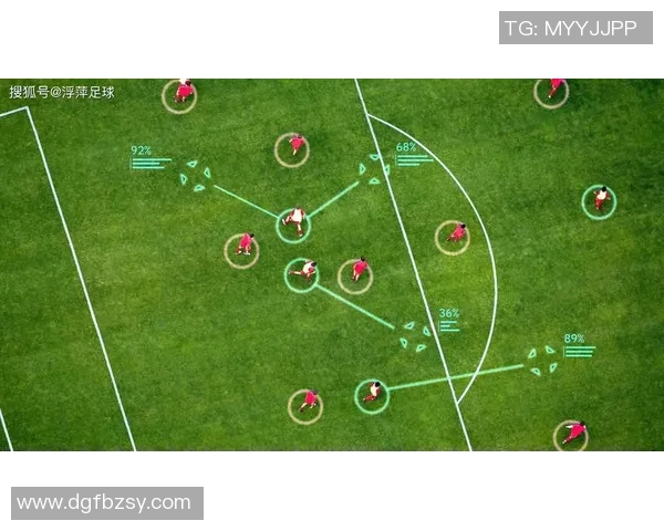 足球费赫尔的传奇之路与未来发展展望